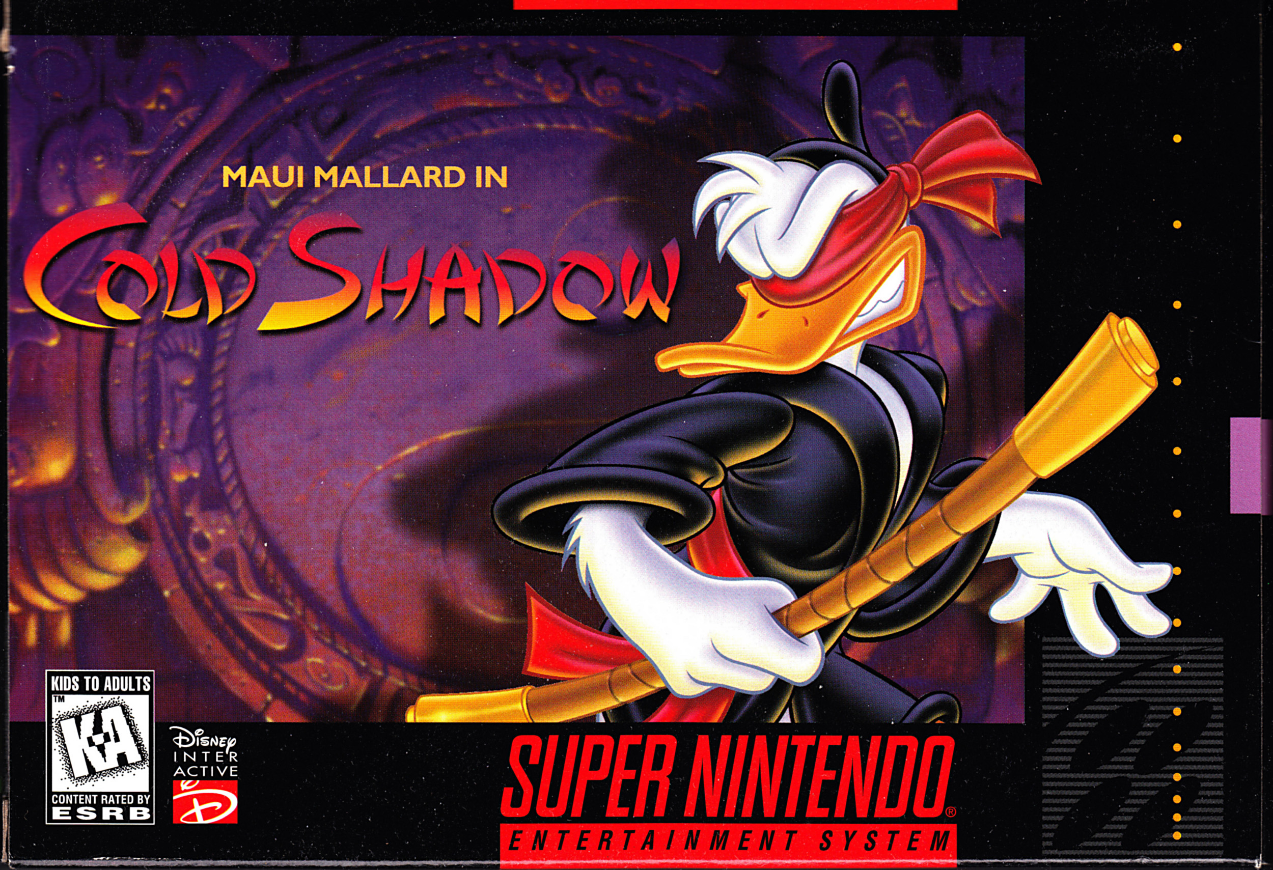 MAUI MALLARD IN COLD SHADOW